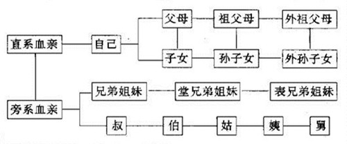為什么禁止近親結婚 近親結婚范圍是多少  第2張