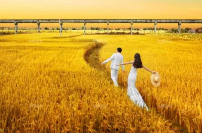 國(guó)內(nèi)外7個(gè)最熱門(mén)旅拍地旅拍時(shí)間推薦！  第6張