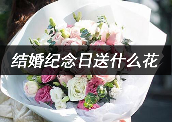 結(jié)婚紀(jì)念日送什么花最合適 