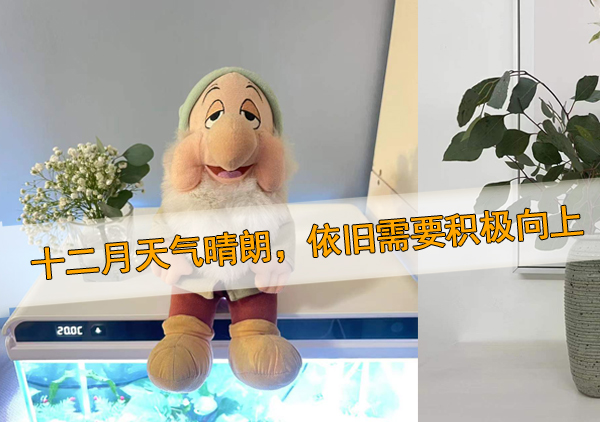 關(guān)于2021最后一個月的朋友圈說說心情短語 隨心